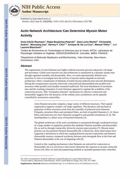 Pdf Actin Network Architecture Can Determine Myosin Motor Activity