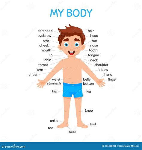 My Body Poster with Cute Kid Boy Shows His Body Parts Medical Anatomy ...