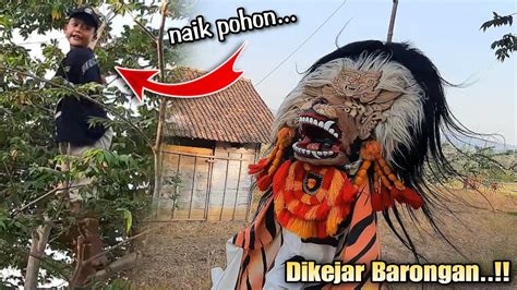 Dikejar Barongan Sampai Naik Pohon Arak Arakan Barongan Blora SINGO