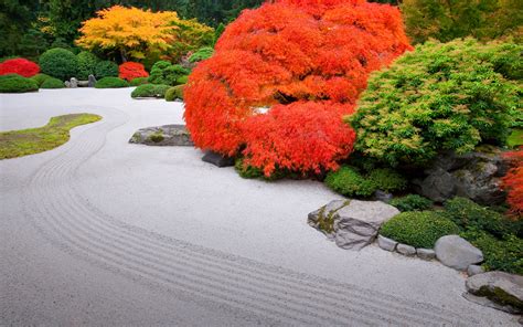 Download Tree Fall Garden Man Made Japanese Garden Hd Wallpaper