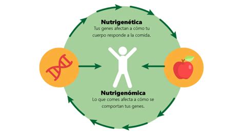 Nutrigen Mica Y Nutrigen Tica El Futuro De La Nutrici N Deportiva