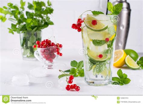 Various Berry Lemonade Or Mojito Cocktails Fresh Iced Lemon Lime Red Currant Infused Water