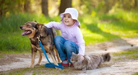 Científicos confirman que los perros son capaces de ayudar contra la