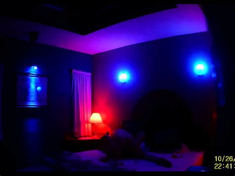 Acabada Con Gemidos Xvideos