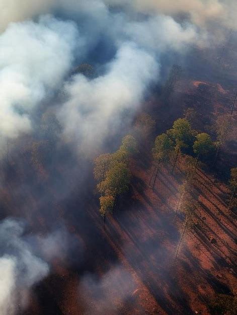 Vista A Rea Del Humo Blanco De Los Incendios Forestales Que Se Eleva A