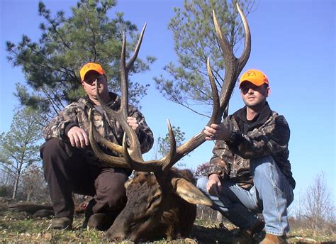 2007 2008 Deer Harvest Hurricane Creek Lodge