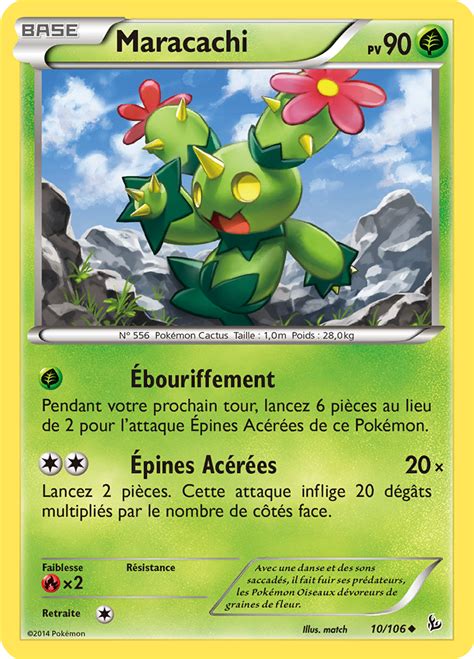 Maracachi Xy Étincelles 10 — Poképédia