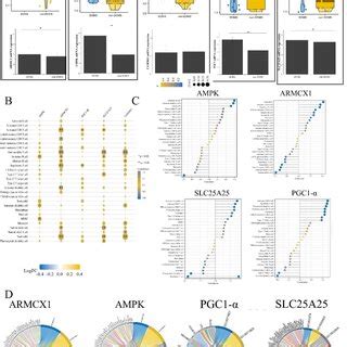 Screening And Identification Of Hub Genes A Top Five Overlapping