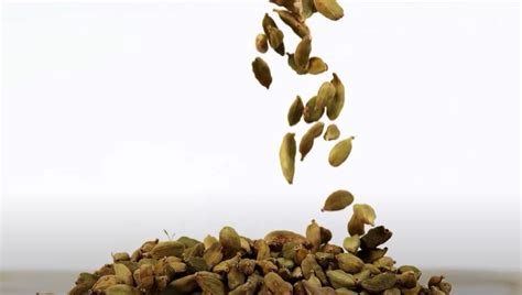 Cardamom History And Health Benefits Discovering Flavor