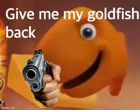 Goldfish Gun Imgflip