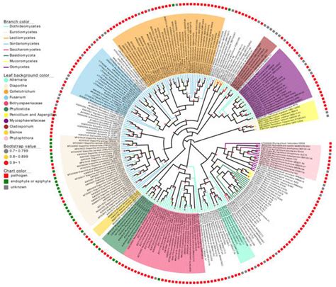 JoF Free Full Text Profiling Of The Citrus Leaf Endophytic