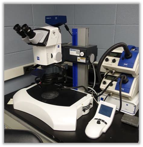 MTC | Petrography and Patrographic Analysis