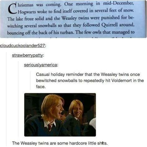 Fans Are Sharing Observations From Harry Potter Than Make Them Say