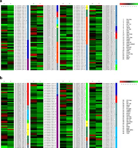 Expression Analysis Of Genes From Different Transcription Factor