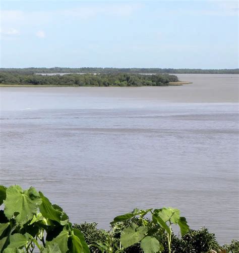 RÍo ParanÁ Historia Origen Características Altura Y Mucho Más