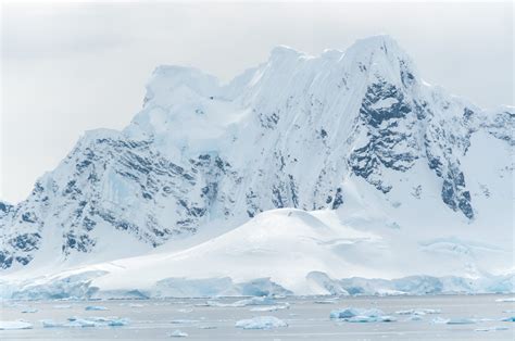 Antarctic Explorer Discovering The 7th Continent Polar Cruises