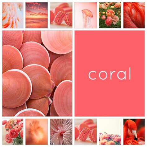 Koraal Christmas Palette Color Trends Color Inspiration