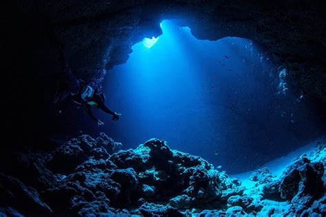 Bacteria near Mariana Trench ‘sense’ Earth’s magnetic field - Geographical