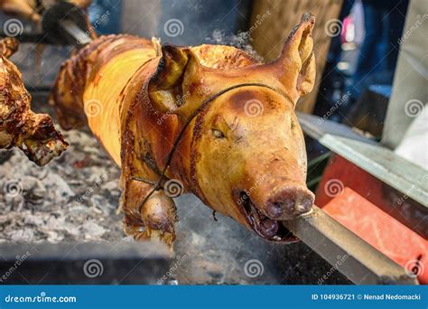 A Whole Pig Being Roasted On A Fire Stock Image Image Of Barbecue