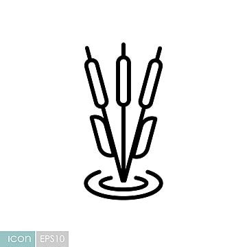 Botany Icon Plant Nature Botany Vector Plant Nature Botany Png And