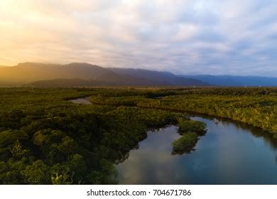 Amazon Rainforest Brazil Stock Photo 704671807 | Shutterstock