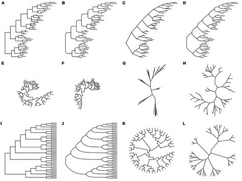 Chapter 4 Phylogenetic Tree Visualization Data Integration