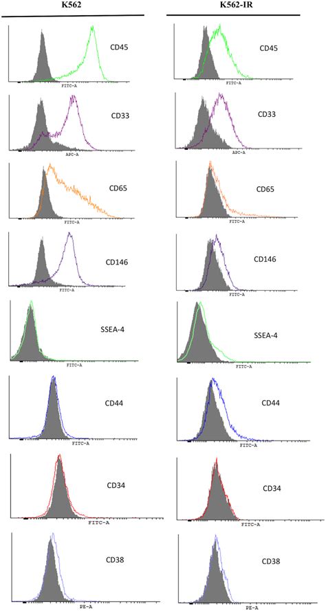 Flow Cytometry Of Cell Surface Markers Of K And K Ir Cells Cd