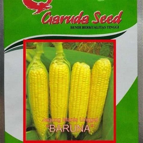 Promo Benih Bibit Jagung Manis Baruna 50 Gram Diskon 10 Di Seller