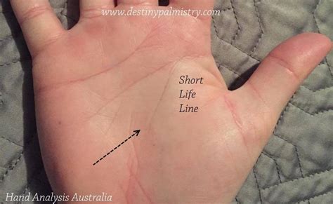 Short Line Of Life Actual Meaning In Palmistry Destiny Palmistry