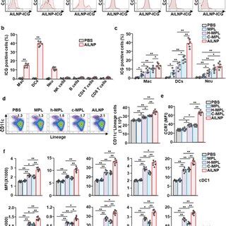 AiLNPs Target Splenic DCs And Induce Activation Of Splenic DC Subsets