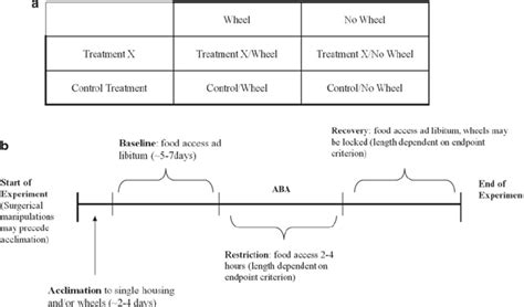 Aba Experimental Design And Timeline Example A Experimental Design