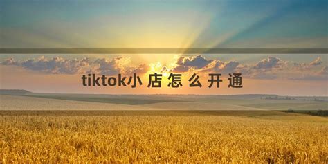 Tiktok小店怎么开通 呆呆鸟跨境百科 专业分享跨境外贸知识