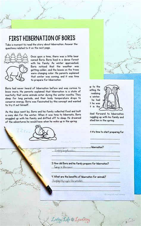 Hibernation Worksheets