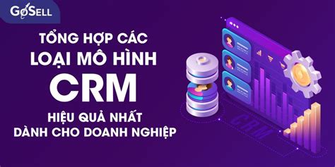 Tổng Hợp Các Loại Mô Hình Crm Hiệu Quả Nhất Dành Cho Doanh Nghiệp