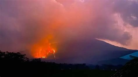 Kebakaran Di Gunung Lawu Meluas Hingga Hektar