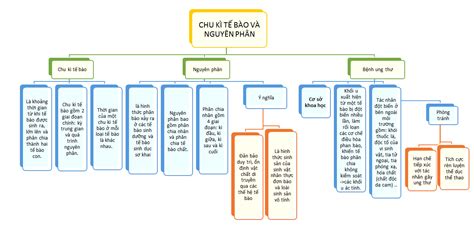 Sách mới Sơ đồ tư duy Sinh 10 Bài 16 Kết nối TT Chu kì của tế bào và