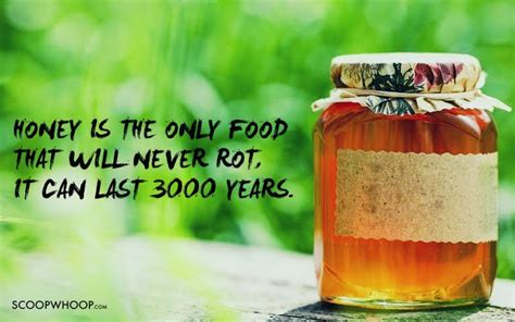 30 Interesting Facts About Food We Bet You Had No Idea About