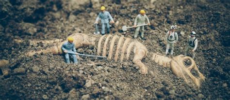 How To Help Your Business Evolve Scu Online