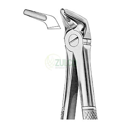 Extracting Forceps English Pattern Fig 8 Lower Premolars