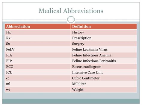 Ppt Veterinary Terminology Powerpoint Presentation Free Download