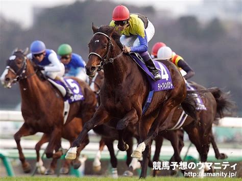 有馬記念2023特集 歴史と概要｜競馬予想のウマニティ