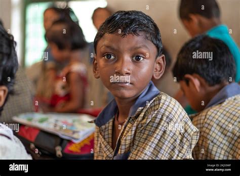 School Students Studying In Classroom Stock Photo Alamy