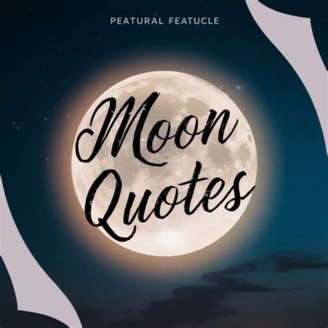 Moon Captions For Instagram Captions Unleashed