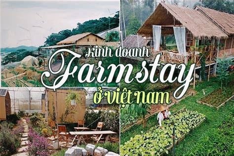 Du L Ch N Ng Tr I Farmstay L G Kinh Nghi M U T Ph N T Ch R I Ro