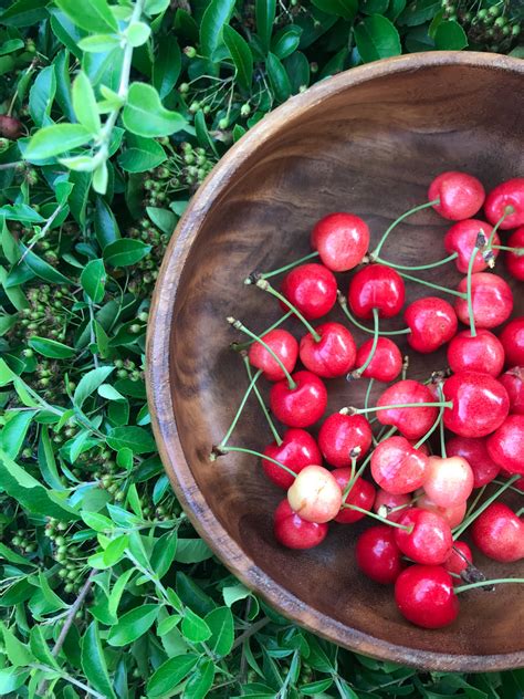 Brandied Cherries The Undercover Food Critic