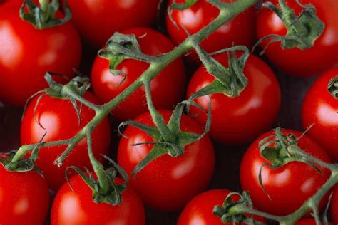 Premium Photo Bunch Of Fresh Red Tomatoes With Green Stems