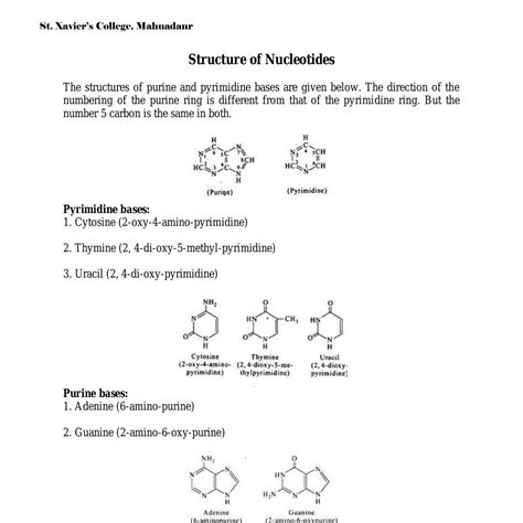 Structure and function of Nucleotides.pdf | DocDroid