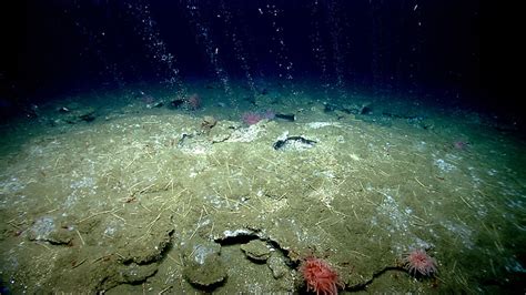 Stories Years Of Ocean Exploration With Noaa Ship Okeanos Explorer