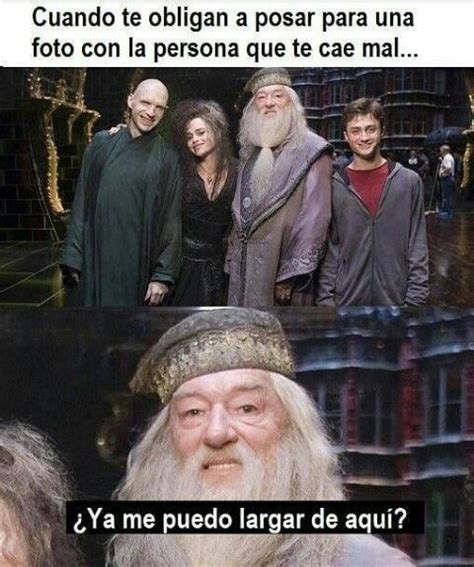 Pin De The Really En Memes Libros De Harry Potter Pel Culas De Harry