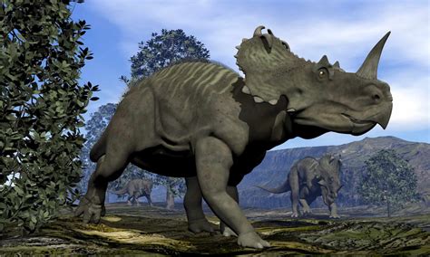 7 Dinosaurs With Horns Like A Rhino (One Looks Like a T-Rex with a Horn ...